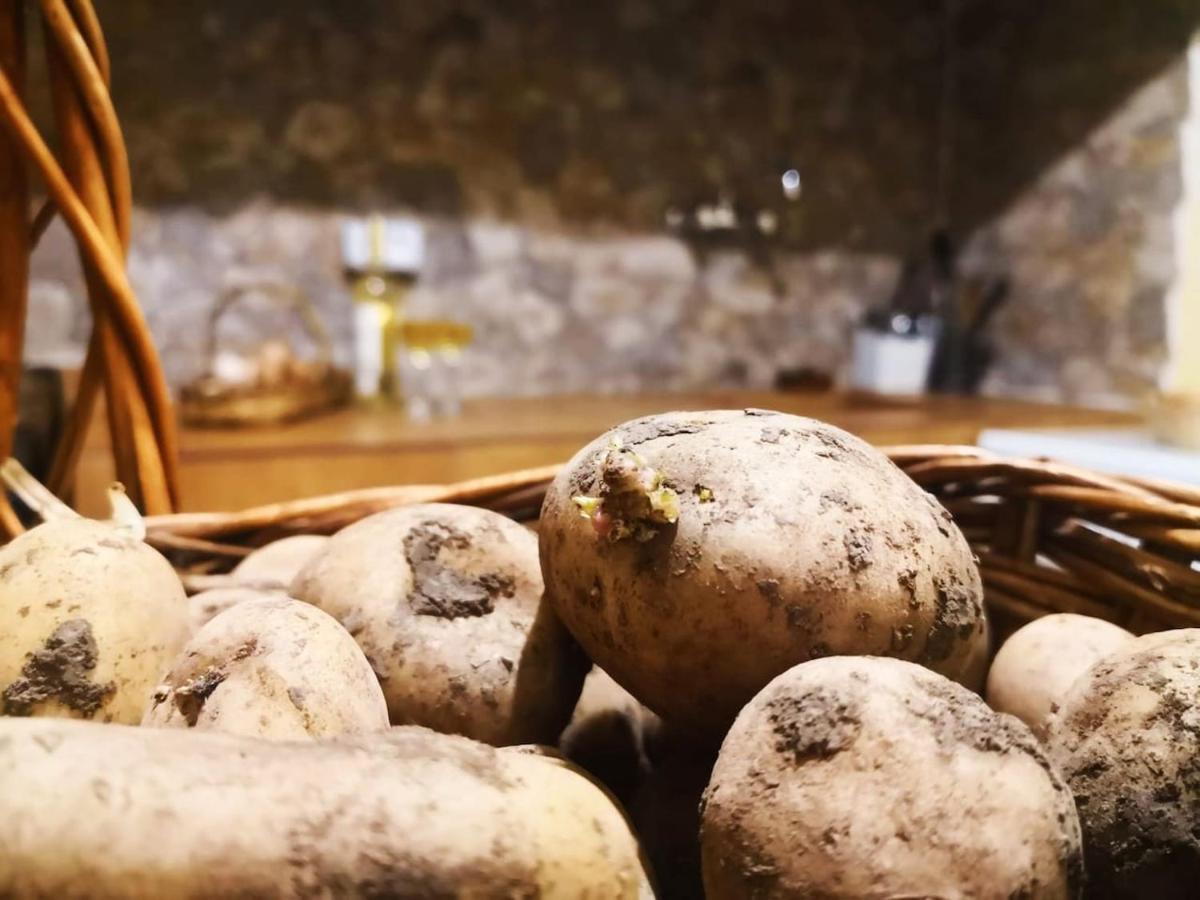 Casa Rural Los Organos De Arguamul Vallehermoso Eksteriør billede