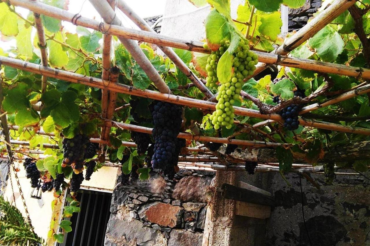 Casa Rural Los Organos De Arguamul Vallehermoso Eksteriør billede